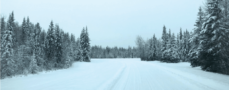 AK roads_featured Alaska winter road forest trees woods snow
