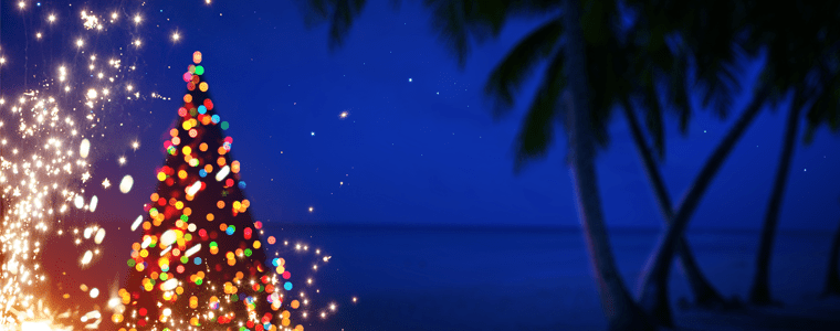 christmas tree on hawaii beach